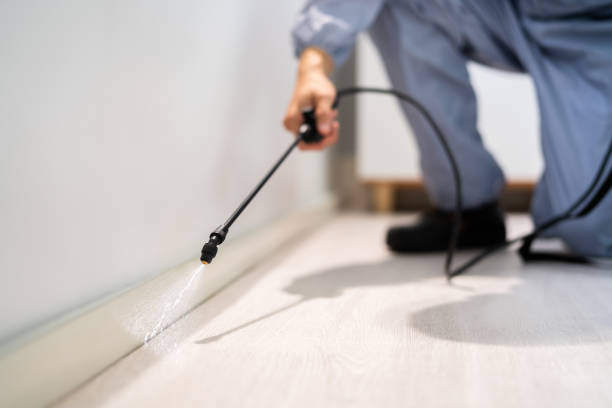 Licensed Cockroach Control service in Henagar, AL - Nex Pest Control