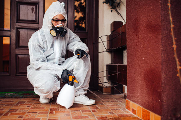 Reliable Cockroach Control contractor in Henagar, AL by Nex Pest Control